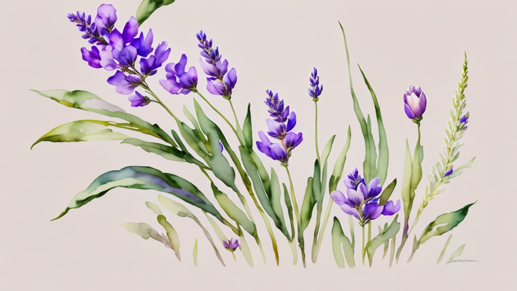 Purple Flowers and Green Foliage Watercolor Illustration on Cream Background