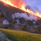 Tropical hillside wildfire with smoke and palm trees