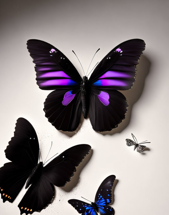 Dark Butterfly