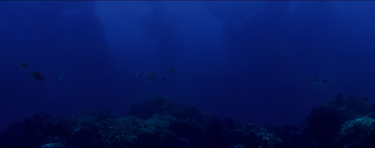 Coral Reef with Small Fish in Deep Blue Ocean Light