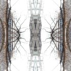 Surreal monochromatic artwork of people walking on ground and mirrored sky, combining urban scenery with