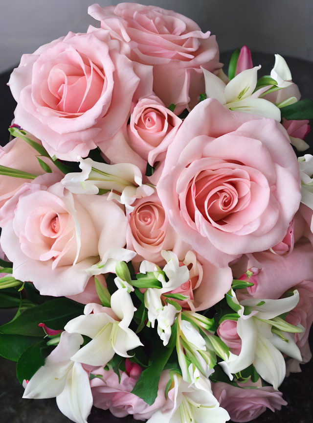 Pink Roses and White Lilies Bouquet on Neutral Background