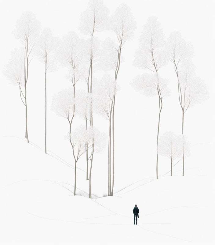 Solitary figure in tranquil snowy landscape with leafless trees