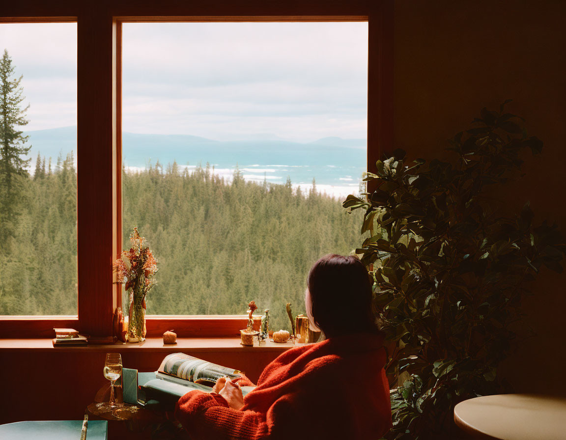 Person in Red Sweater Looking Out Window at Forested Landscape with Mountains