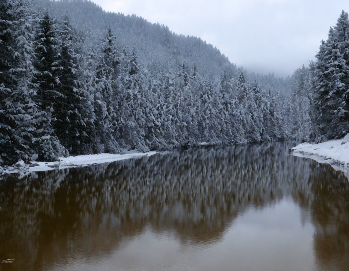 Snow-covered pine trees and calm river in serene winter landscape