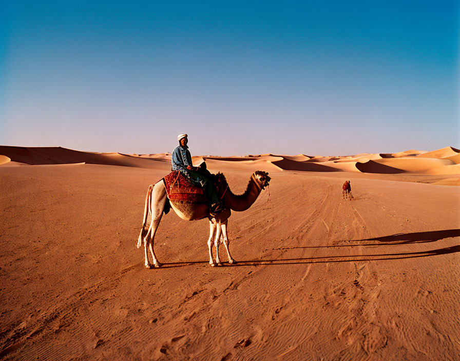 Person riding camel through vast desert with rolling sand dunes under clear blue sky