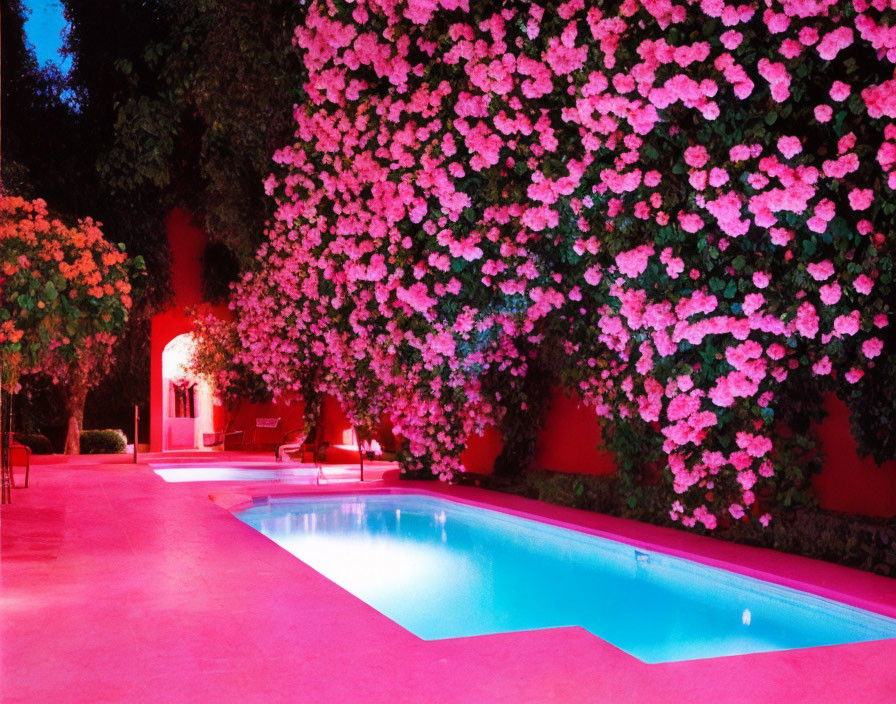 Nighttime garden with pink-lit pool and blooming flowers