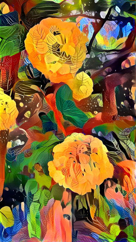 fiori di ortensia