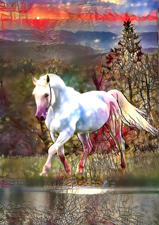 A beautiful white horse