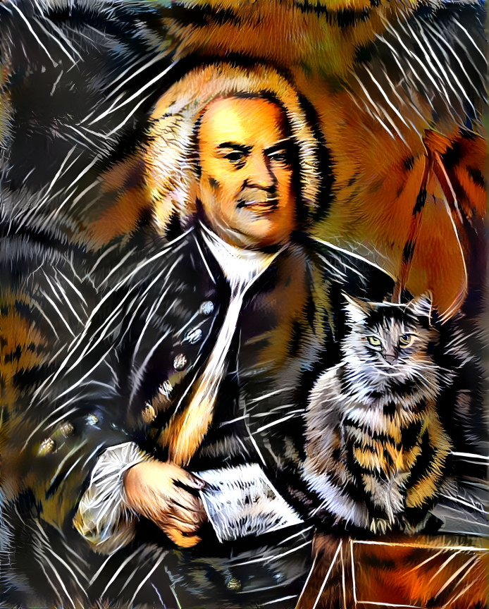 Bach e il gatto