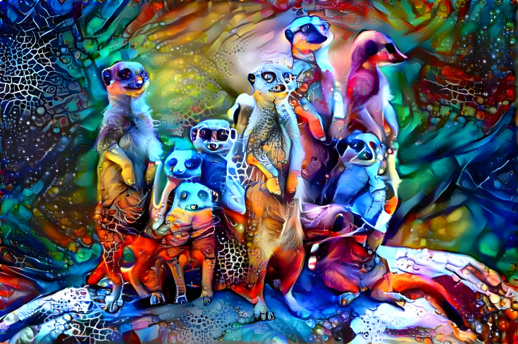 The meerkats go an a family 'trip'
