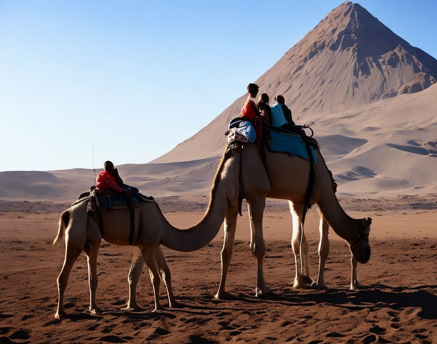 Two individuals riding a camel in a desert landscape with a sand dune and clear blue sky.