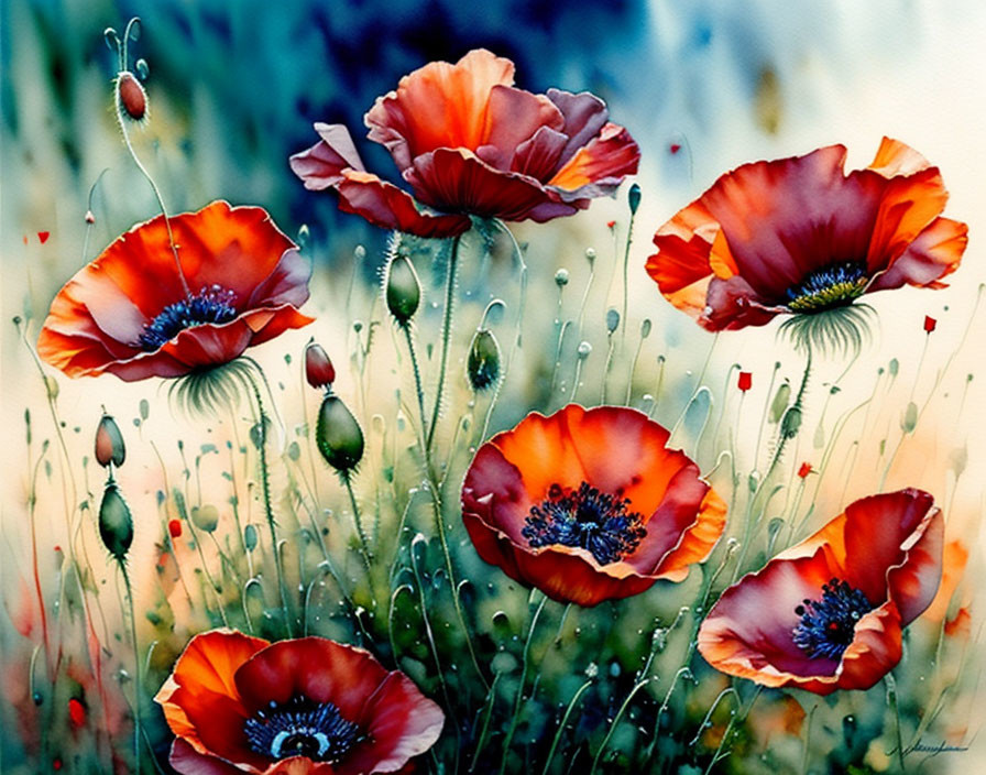 Colorful watercolor painting of red poppies with dewdrops on petals and grasses
