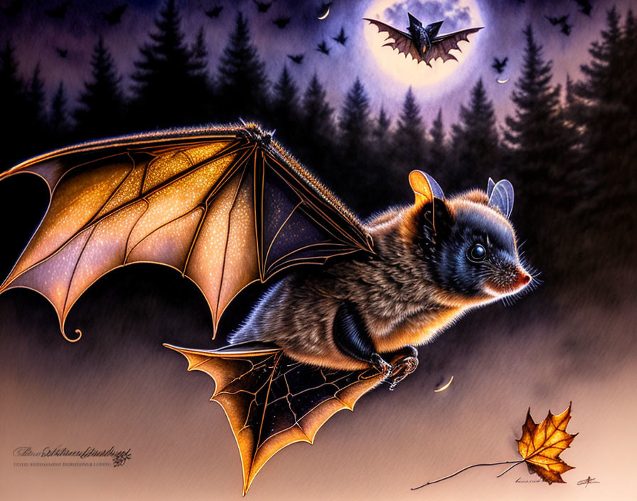  A flying Common Pipistrelle Bat...