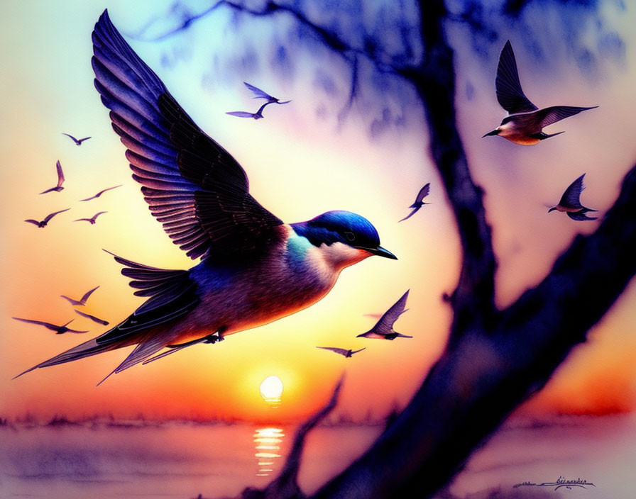 Colorful Swallow Flying at Sunset with Silhouettes