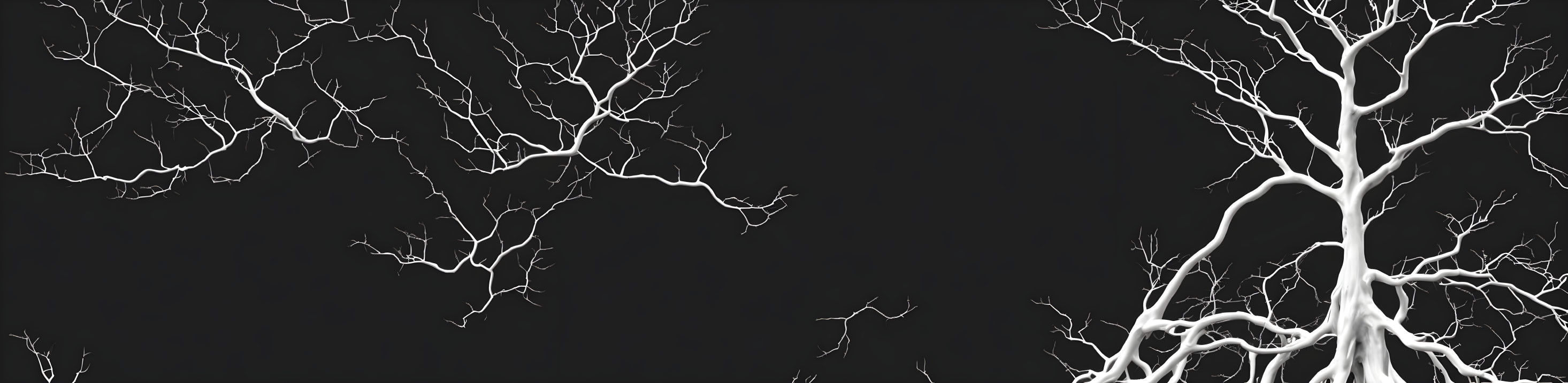 Intricate white branches on dark background, resembling neurons.