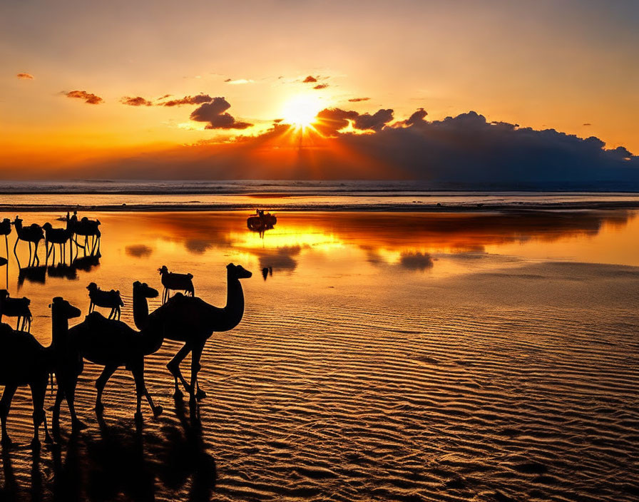 Beach sunset with camel silhouettes and boat reflections