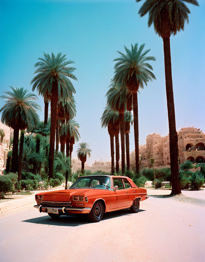 Vintage Orange Car Parked on Tree-Lined Street with Palm Trees