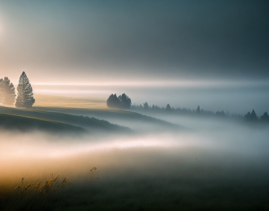 Misty Dawn Landscape with Silhouetted Trees and Sunrise Light