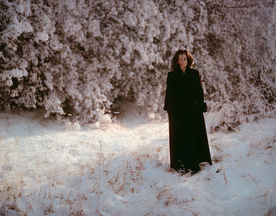 Person in Dark Coat Stands in Snowy Forest with Sunlight Through Frost-Covered Trees