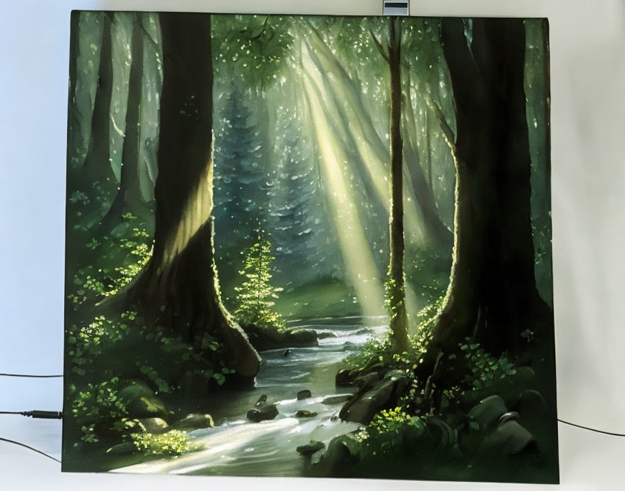 Sunlit Forest Scene with Stream and Verdant Undergrowth