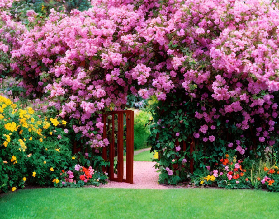 Colorful garden pathway with flowers leading to red gate