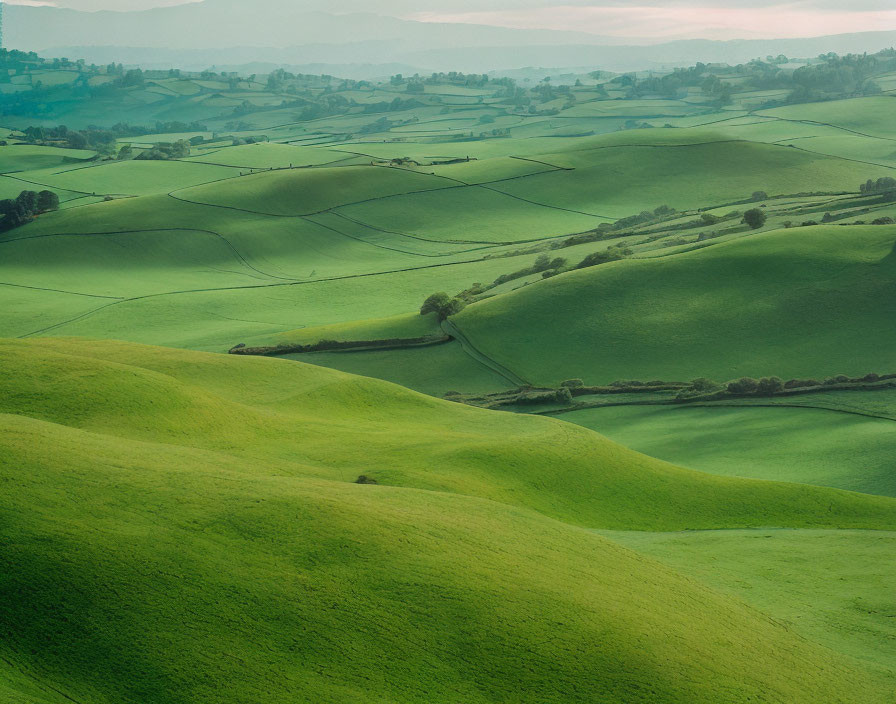Tranquil pastoral landscape of rolling green hills and patchwork fields