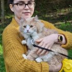Young person in glasses holding ginger and white cat with lemon in nature setting
