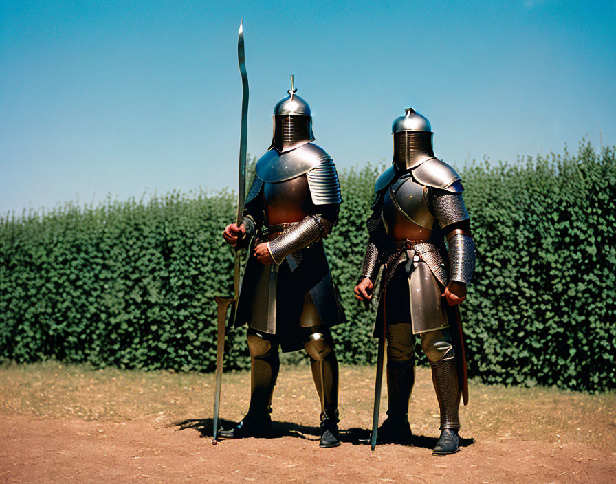 Medieval plate armor-clad individuals with weapons in grassy field