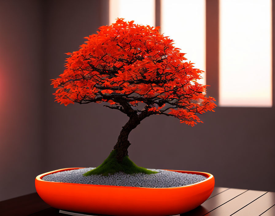 Vibrant orange-red bonsai tree in sleek oval pot on wooden surface