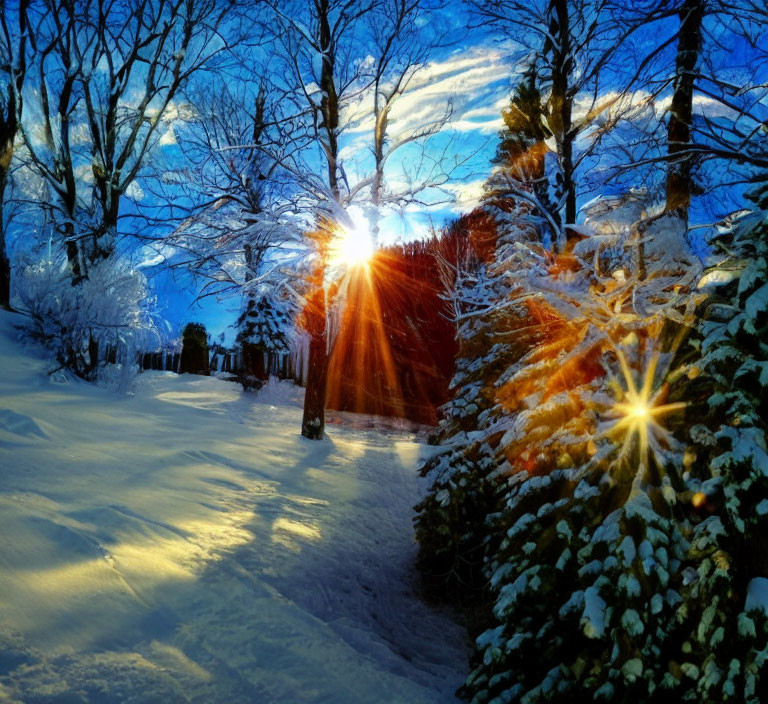 Tranquil winter landscape with golden sunset and snow-laden trees