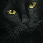 Realistic Black Cat Painting with Amber Eyes and Detailed Fur Texture