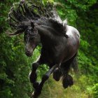 Majestic black horse galloping in vibrant green setting