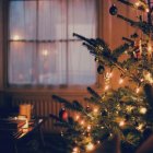 Festive Christmas tree by frosty window with candle