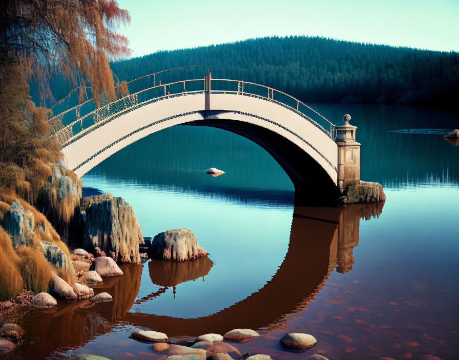 Lake with a bridge
