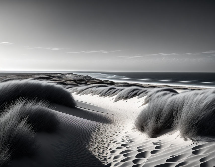 Monochromatic landscape: Textured sand dunes, tranquil sea, gradient sky