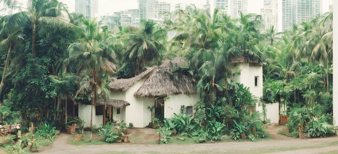 Tropical Thatched-Roof Huts Among Palm Trees and Modern Buildings
