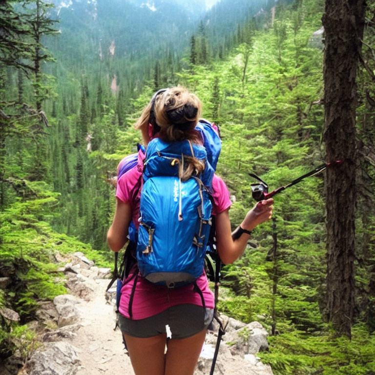 Woman with Blue Backpack Hiking Forest Trail amid Pine Trees and Mountains