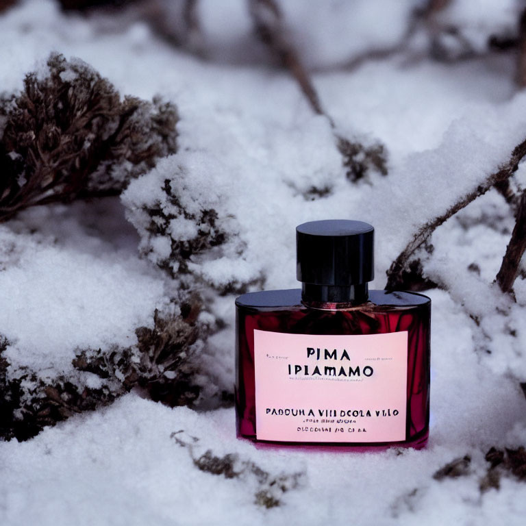 Dark perfume bottle amid snow-covered plants contrasts with bright snow