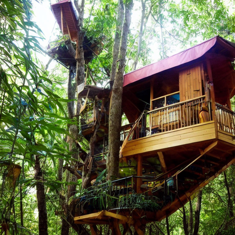 Rustic wooden treehouse with balcony in lush forest