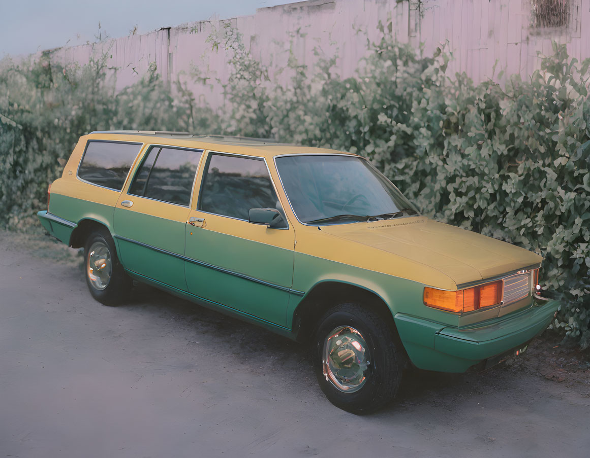 Classic Green Station Wagon Parked Near Overgrown Fence at Twilight