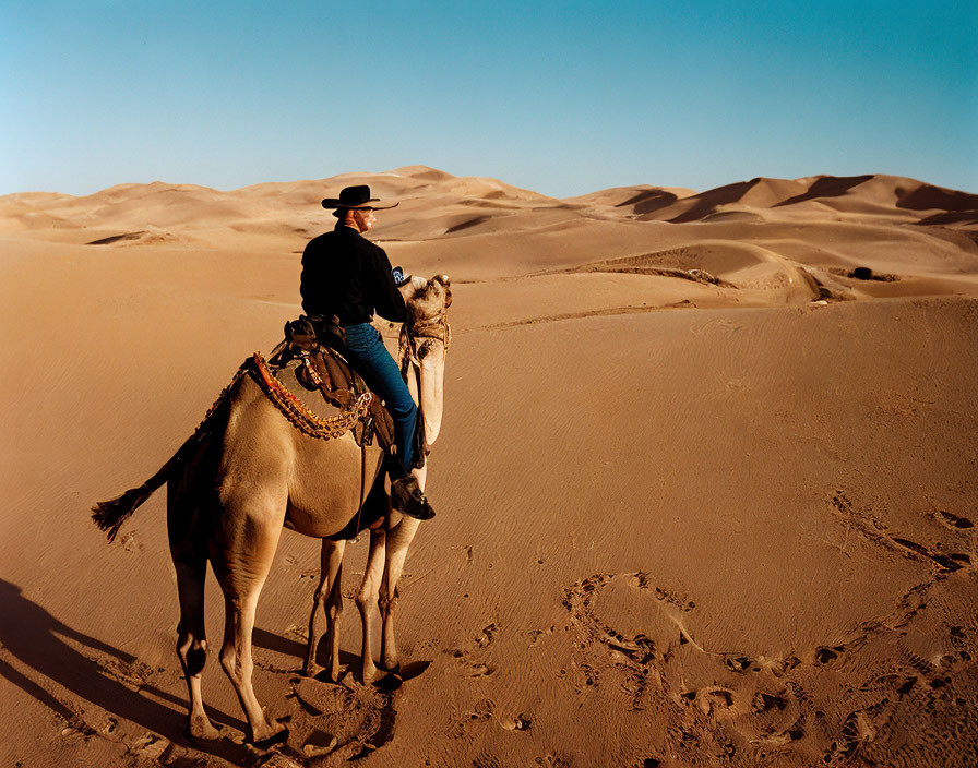 Larry Wall riding his favourite camel wearing Perl