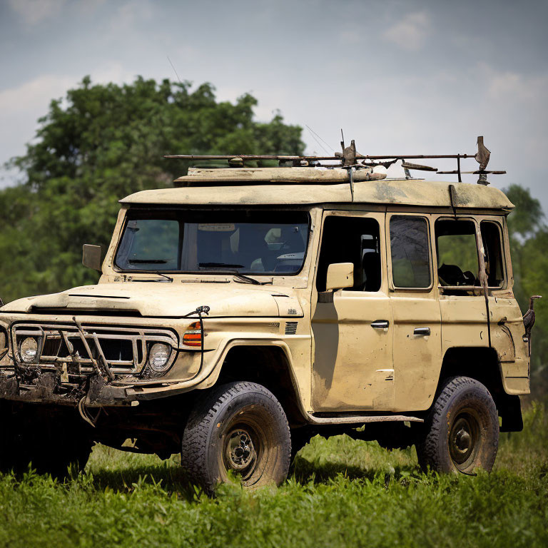 Beige off-road vehicle with roof rack parked in grassy field