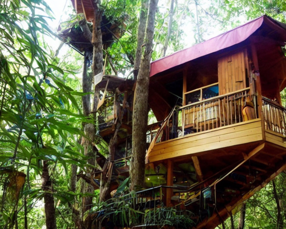 Rustic wooden treehouse with balcony in lush forest