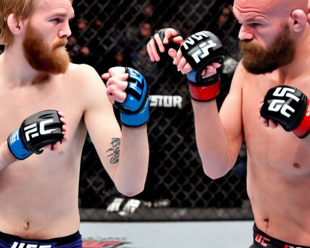 Two bearded MMA fighters in blue and black shorts square off with gloves in the octagon
