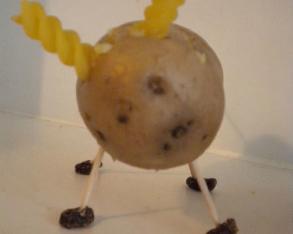 Potato with Pasta Ears, Toothpick Legs, and Raisin Feet Crafted as Wh