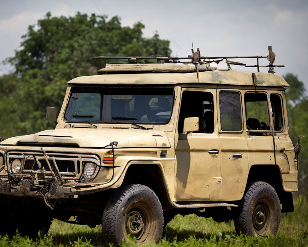 Beige off-road vehicle with roof rack parked in grassy field