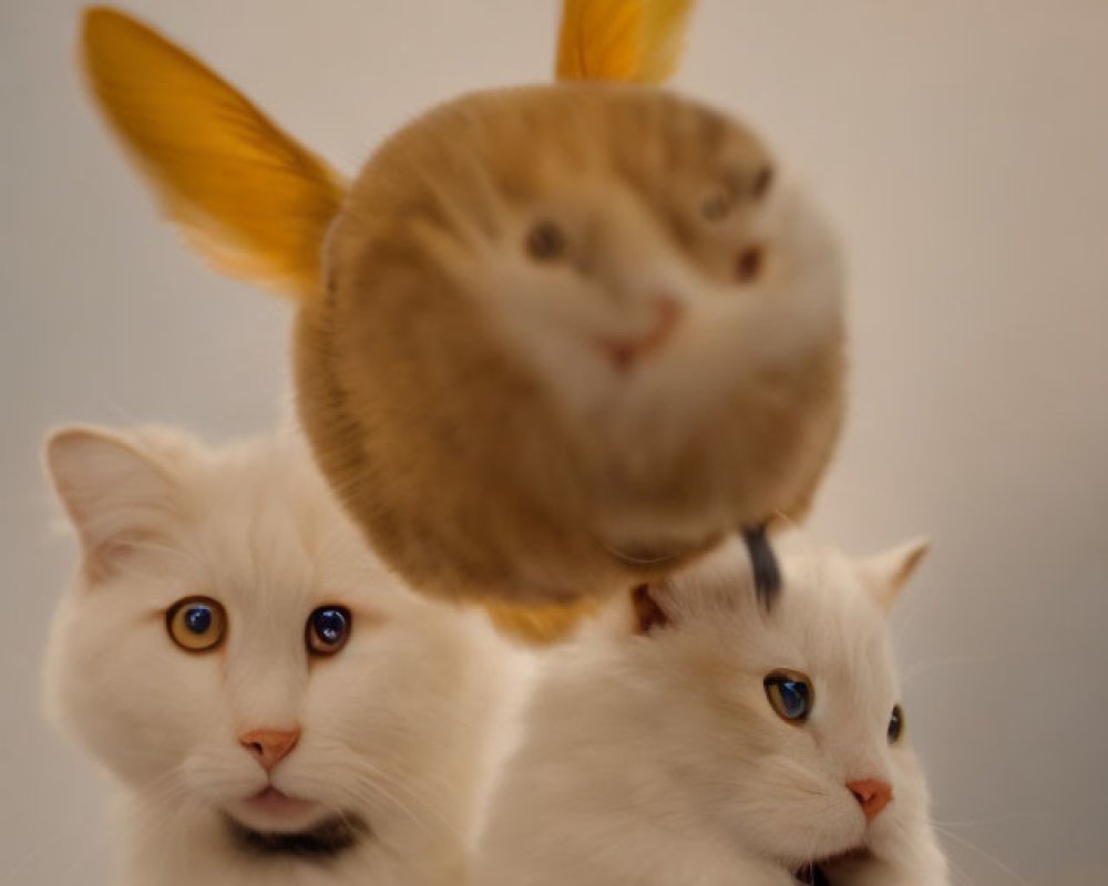 Three surreal cats with enlarged face and odd-colored eyes.