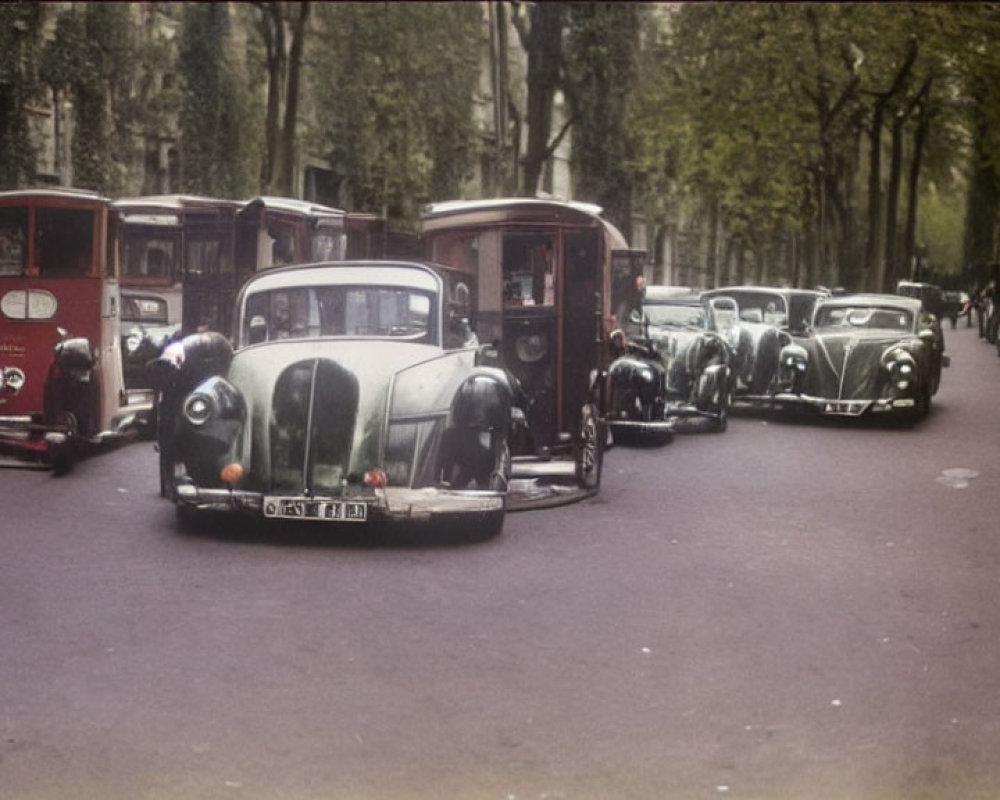 Classic cars and bicycle on tree-lined street from early to mid-20th century