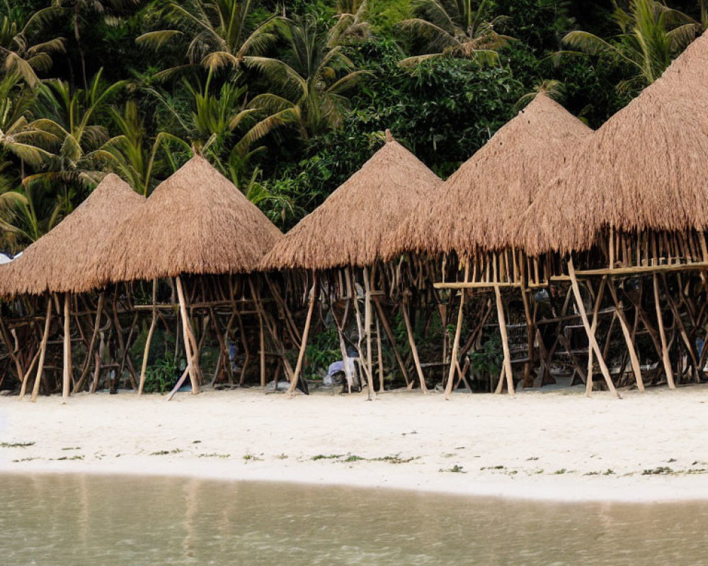 Tropical Thatched-Roof Huts on Stilts with Palm Trees